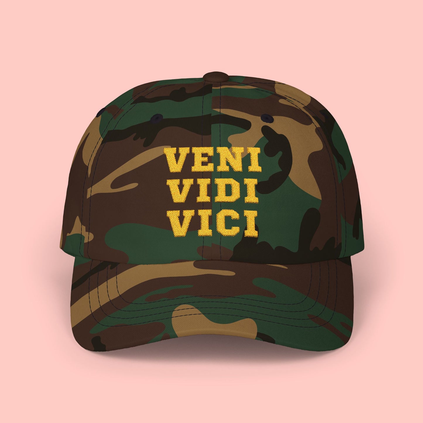 VENI VIDI VICI HAT - FANGIRL SWAG