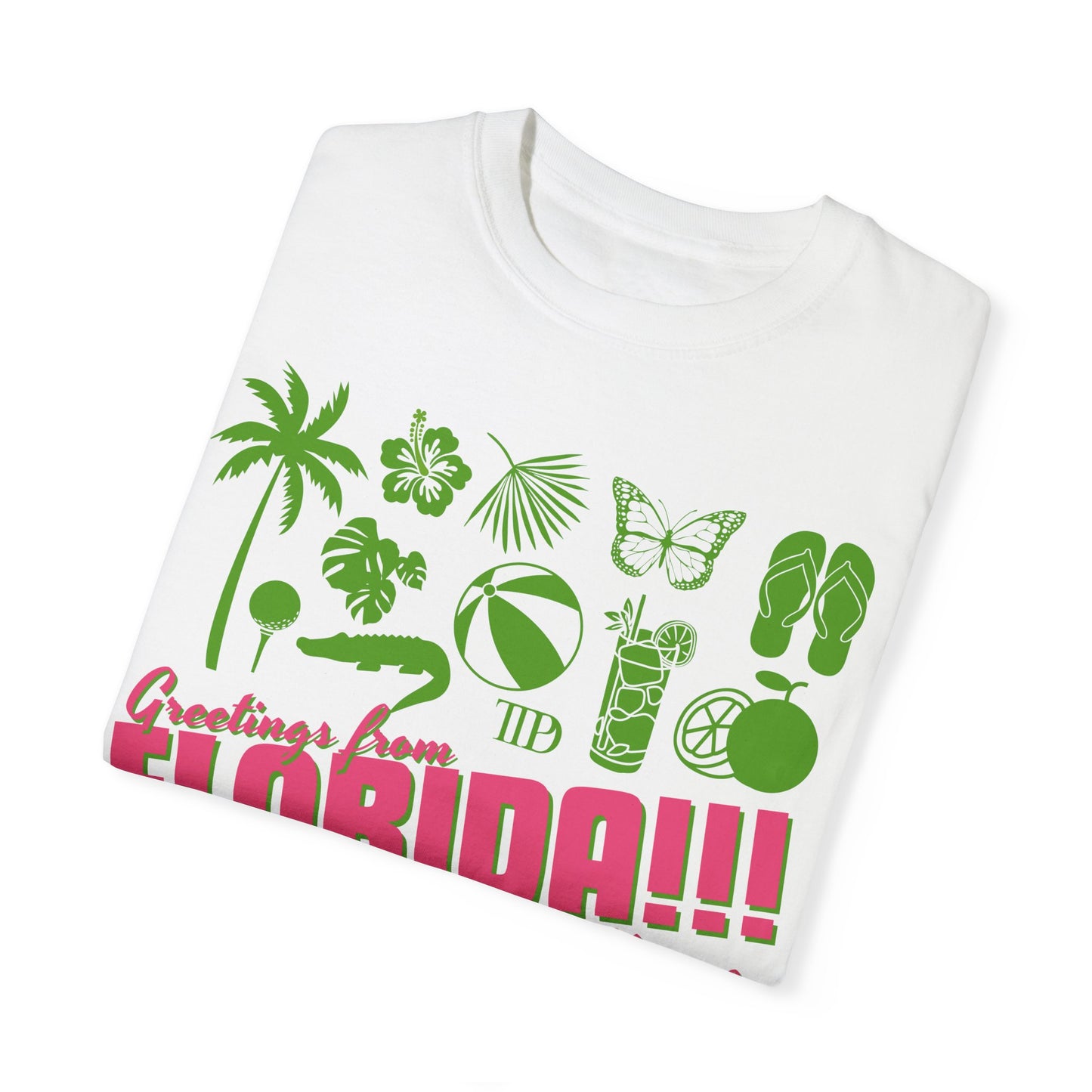 FLORIDA!!! TAYLOR SWIFT TEE - FANGIRL SWAG