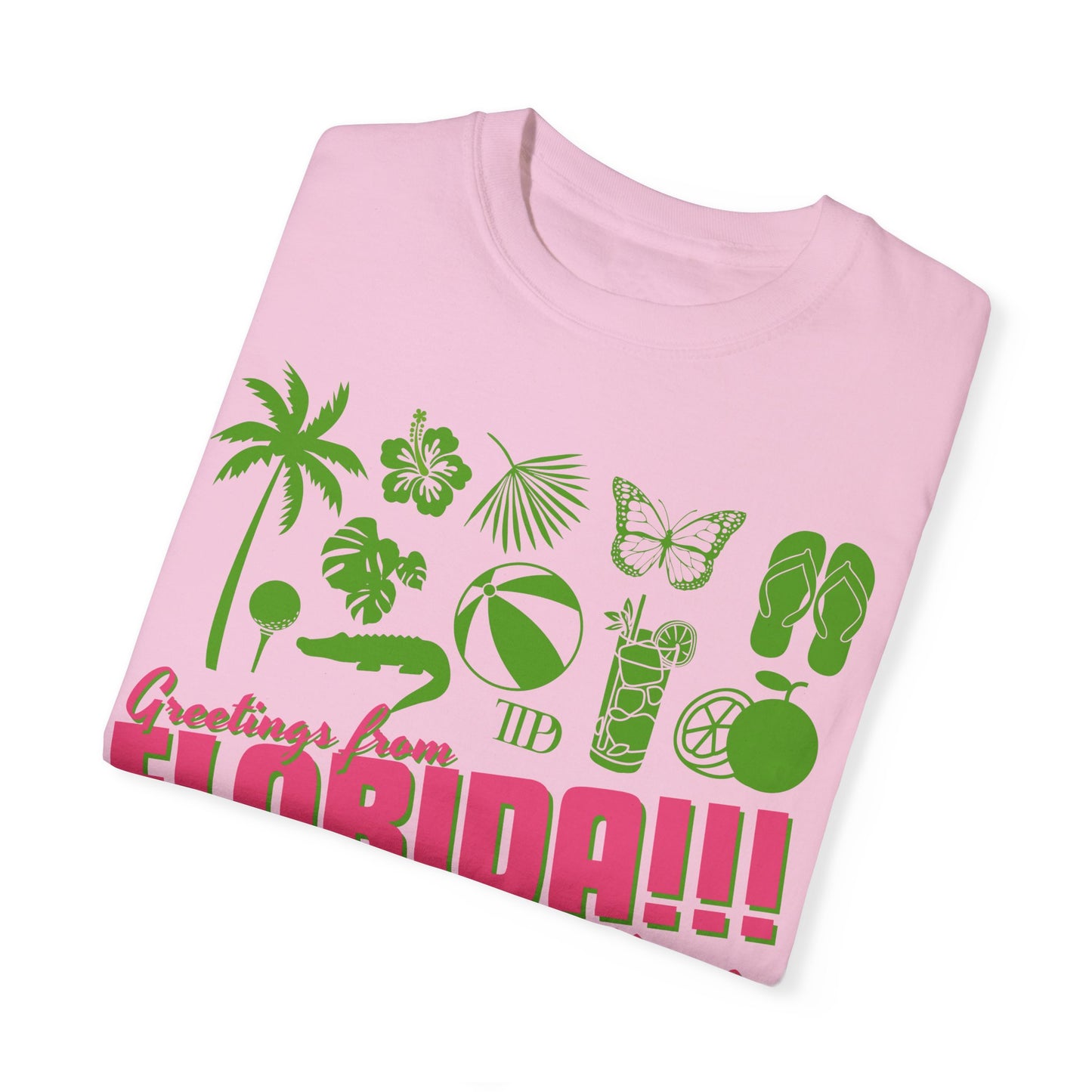 FLORIDA!!! TAYLOR SWIFT TEE - FANGIRL SWAG